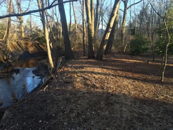 My Not-So-Wild Wild Life